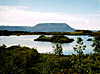 Lake M&yacute;vatn seen from H&ouml;f&eth;i